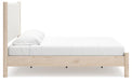 Cadmori Upholstered Bed - Furniture Max (Falls Church,VA) *